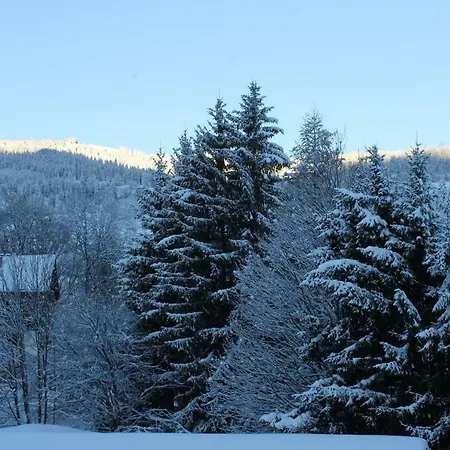 Des Pistes Apartment Megeve